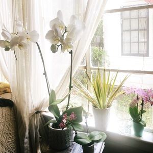 Meet your Posher, Jesslynn